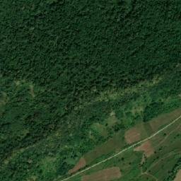 Comuna Cârţa map(satellite map)