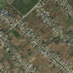 Dmitriyevskoye map(satellite map)