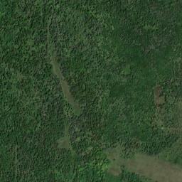 Delta County map(satellite map)