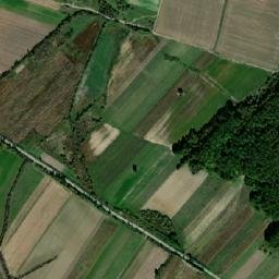 Comuna Traian Vuia map(satellite map)