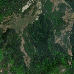 Reghiu map(satellite map)