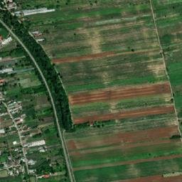 Drăgăneşti map(satellite map)