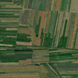 Cudalbi map(satellite map)
