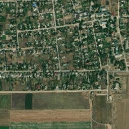 Chernyshevo map(satellite map)