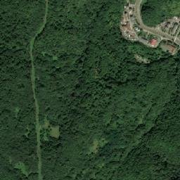 Comuna Tomeşti map(satellite map)