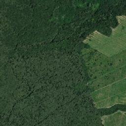 Broşteni map(satellite map)