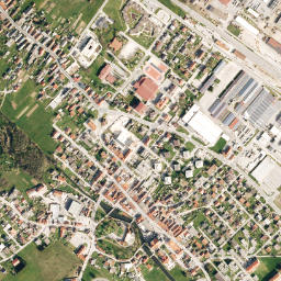 Ribnica map(satellite map)