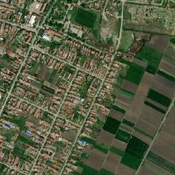 Novo Miloševo map(satellite map)
