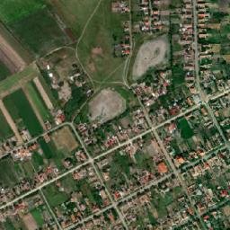 Cenei map(satellite map)