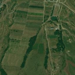 Cârţişoara map(satellite map)