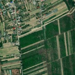 Biliești map(satellite map)