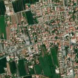 Vedelago map(satellite map)