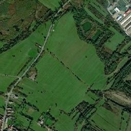 Racoviţa map(satellite map)