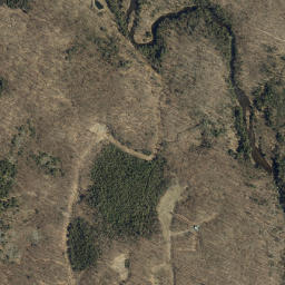 Brownsburg-Chatham map(satellite map)