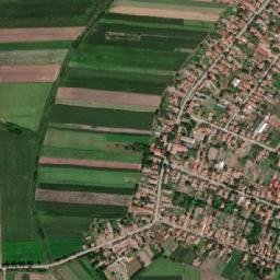 Banatska Topola map(satellite map)