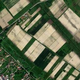 Novoselec map(satellite map)