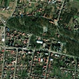 Buziaş map(satellite map)