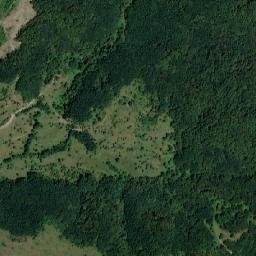 Comuna Criciova map(satellite map)