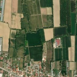 Torreselle map(satellite map)