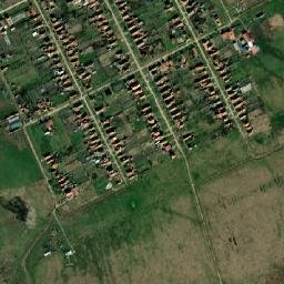 Darova Nouă map(satellite map)