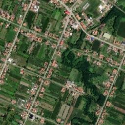 Gavojdia map(satellite map)