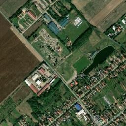 Peciu Nou map(satellite map)