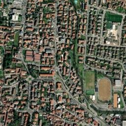 Piazza map(satellite map)