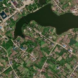 Rasshevatskaya map(satellite map)
