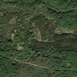 Satellite view of The Four Seasons Island Resort