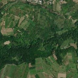Bordeşti map(satellite map)