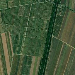 Dumbrăveni map(satellite map)