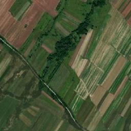 Sălaşu de Sus map(satellite map)