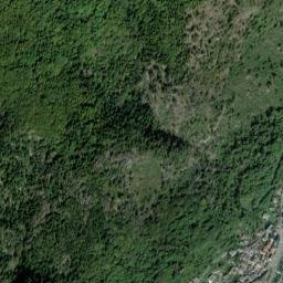 Ronco Canavese map(satellite map)
