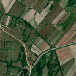 Comuna Fârliug map(satellite map)