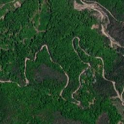 Săruleşti map(satellite map)
