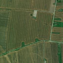 Schela map(satellite map)