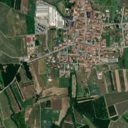 Landiona map(satellite map)