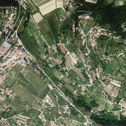 Seča map(satellite map)