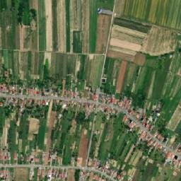 Martin map(satellite map)