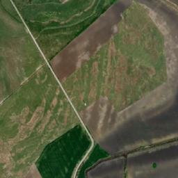 Comuna Foeni map(satellite map)