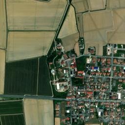 San Pietro Mosezzo map(satellite map)