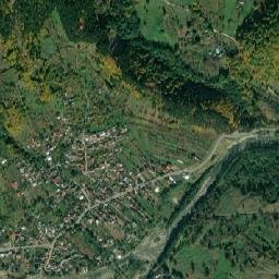 Bâsca Rozilei map(satellite map)