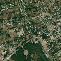 Donskoye map(satellite map)