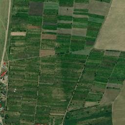 Braniştea map(satellite map)