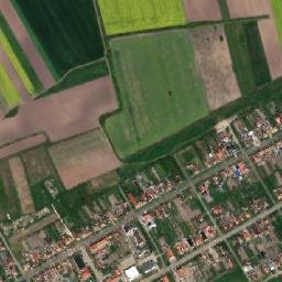 Birda map(satellite map)