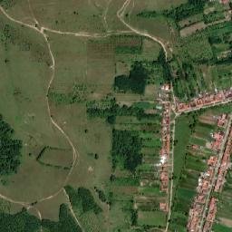 Păltiniş map(satellite map)