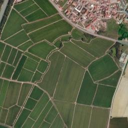 Formigliana map(satellite map)