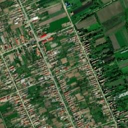Trpinja map(satellite map)