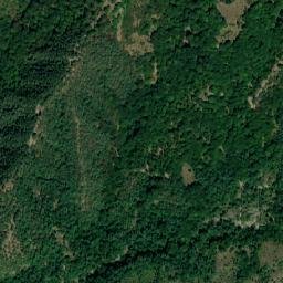 Racoviţa map(satellite map)