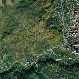 Nehoiu map(satellite map)